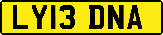LY13DNA