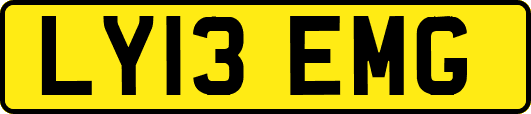 LY13EMG