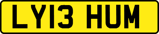 LY13HUM