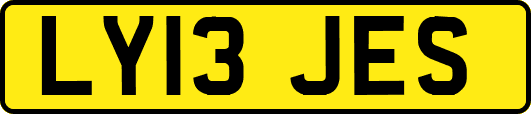 LY13JES