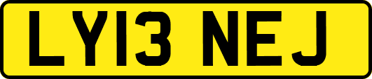 LY13NEJ