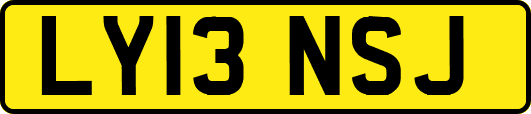 LY13NSJ