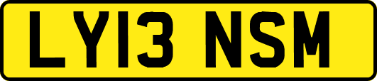 LY13NSM