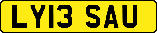LY13SAU