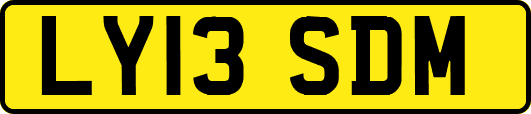 LY13SDM
