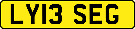 LY13SEG
