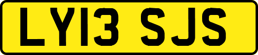 LY13SJS