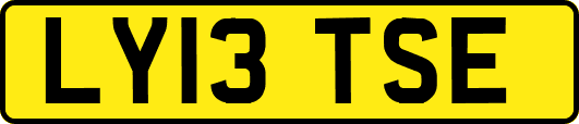 LY13TSE