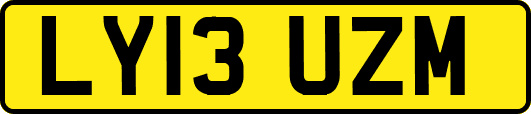 LY13UZM