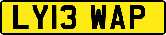 LY13WAP