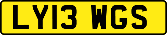 LY13WGS