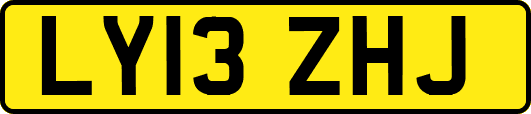 LY13ZHJ