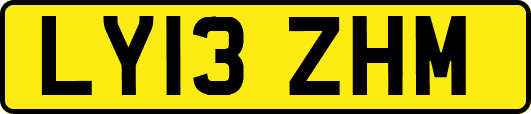 LY13ZHM