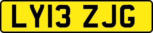 LY13ZJG