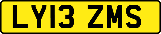 LY13ZMS