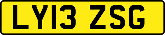 LY13ZSG