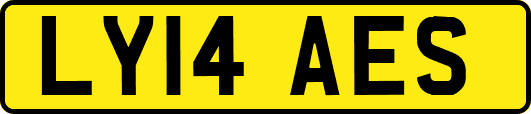 LY14AES