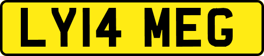 LY14MEG