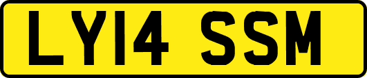 LY14SSM
