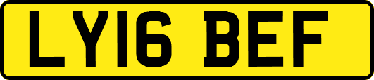 LY16BEF