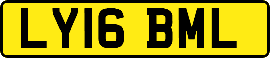 LY16BML