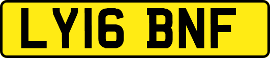 LY16BNF