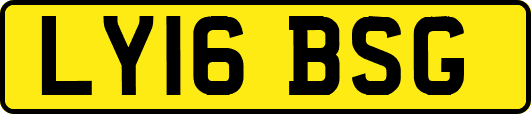LY16BSG