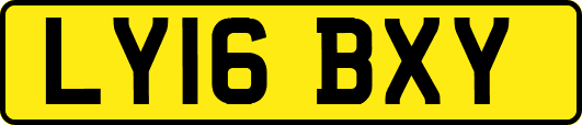 LY16BXY