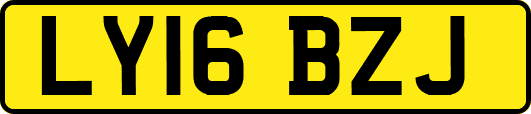 LY16BZJ