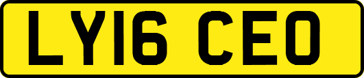 LY16CEO