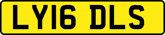LY16DLS