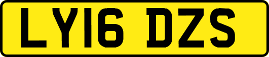 LY16DZS