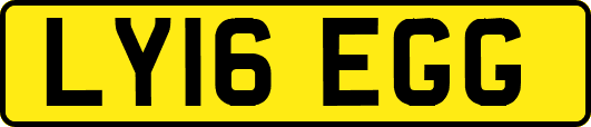 LY16EGG