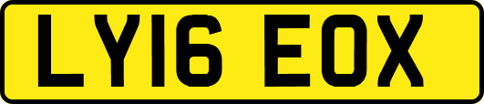 LY16EOX