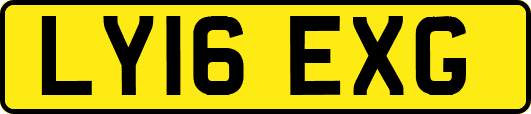 LY16EXG