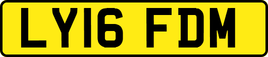 LY16FDM