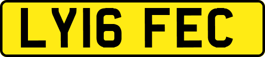 LY16FEC