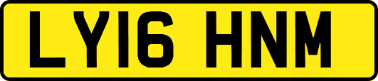 LY16HNM