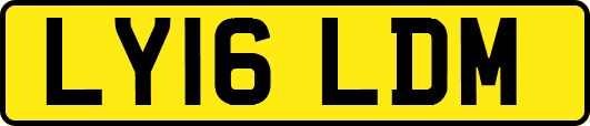 LY16LDM