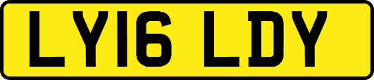 LY16LDY