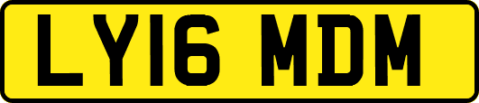LY16MDM
