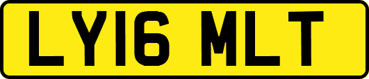 LY16MLT