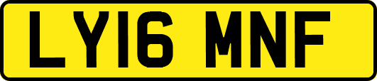 LY16MNF