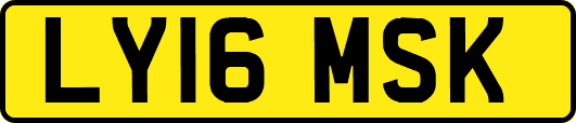 LY16MSK