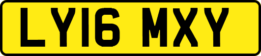 LY16MXY