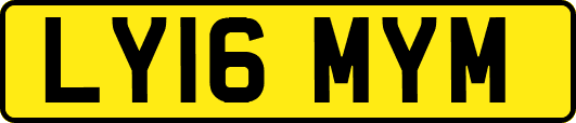 LY16MYM