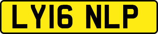 LY16NLP