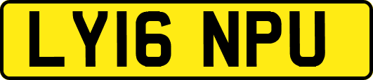 LY16NPU