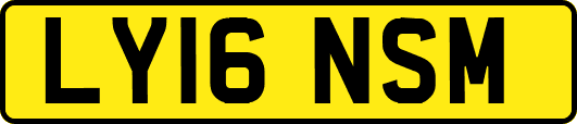 LY16NSM