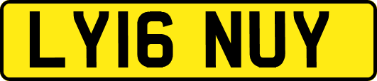 LY16NUY